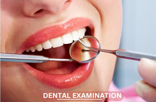 What to Expect During Your Dental Examination